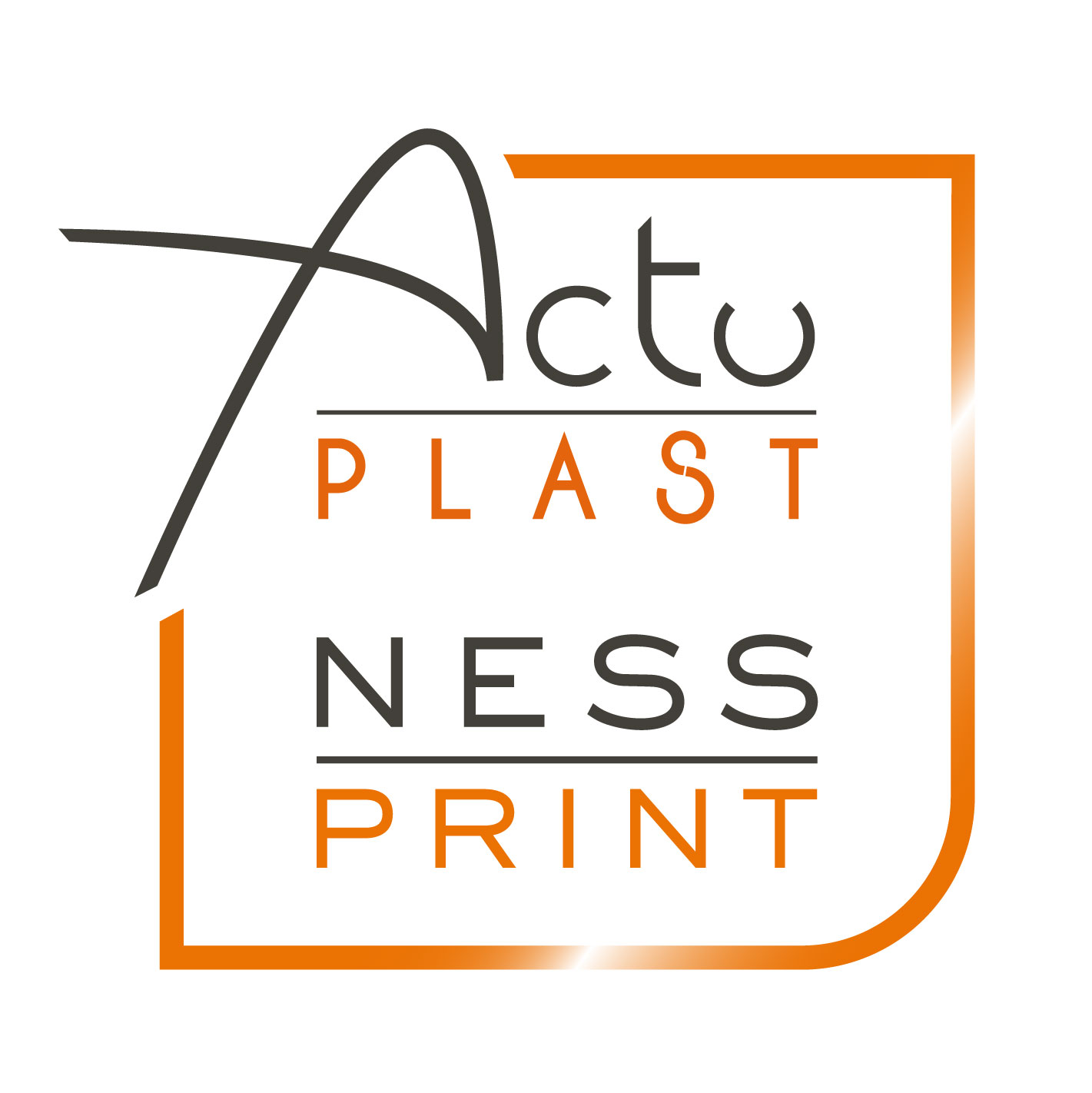 Actu Plast - Ness Print